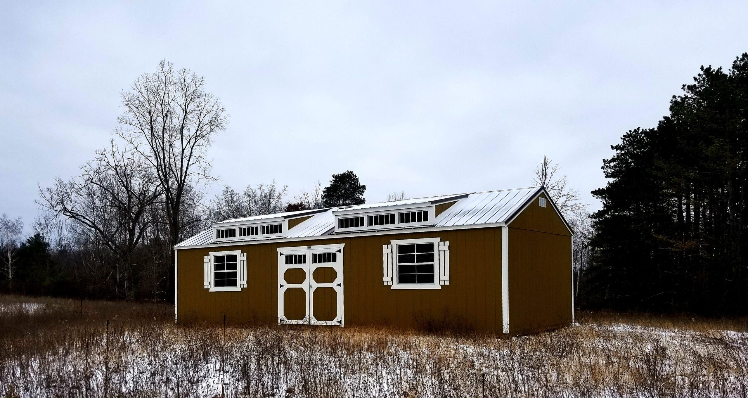 Dormer Wood Shed