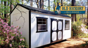 ohb shed with log