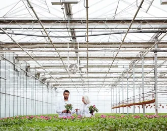 Agricultural Shelters