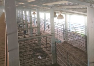 Long-Building-L_L-Cattle-Yards-MS-3-scaled-1 Long-Building-L_L-Cattle-Yards-MS-3-scaled-1