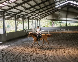 Metal Riding Arenas