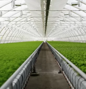 Steel Agricultural Buildings Steel Agricultural Buildings