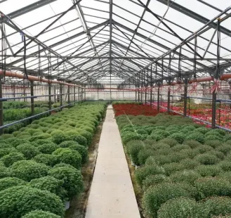 Steel Agricultural Buildings1 Steel Agricultural Buildings1