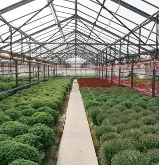 Steel Agricultural Buildings1 Steel Agricultural Buildings1